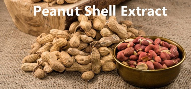 Peanut Shell Extract.png